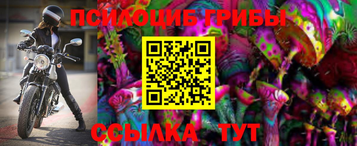 Азов  Псилоцибиновые грибы мицелий  Вход с VPN 